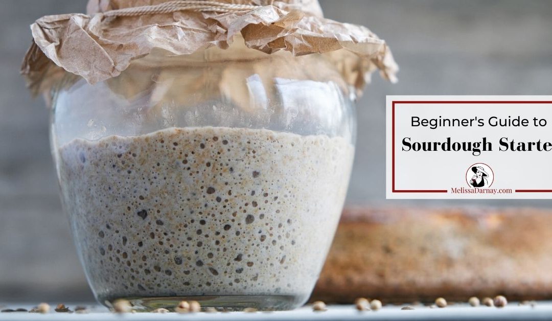 Beginner’s Guide to Sourdough Starter